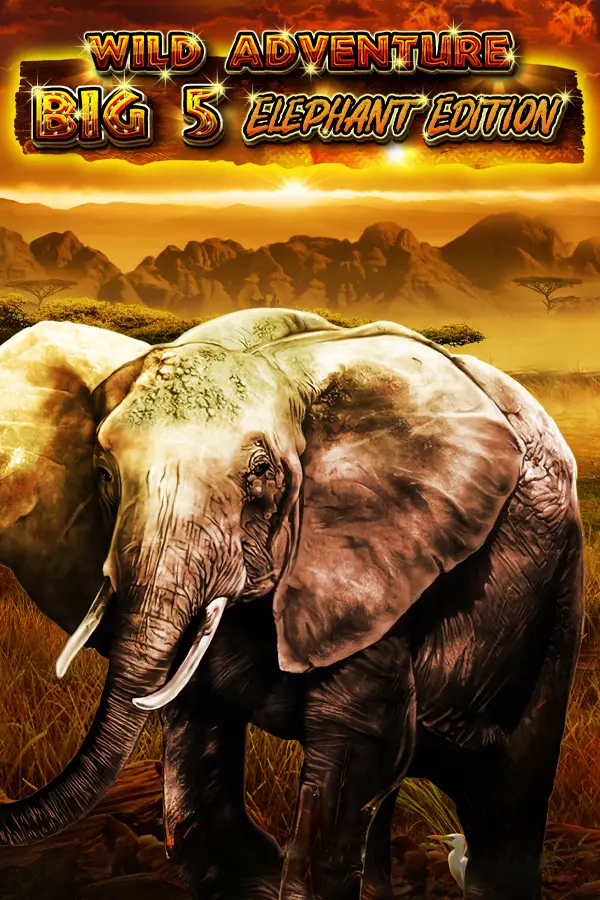 Wild Adventure – Big 5 Elephant Edition